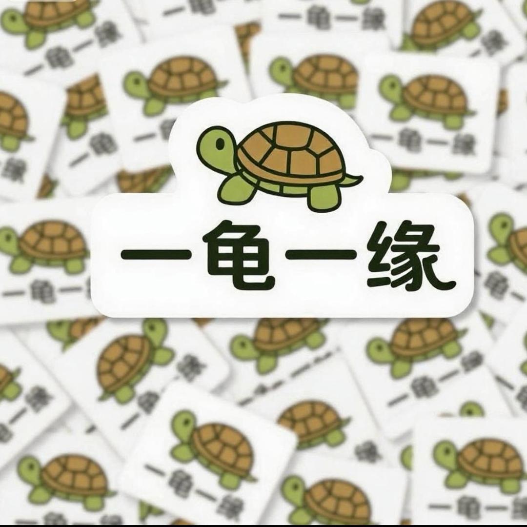 一龟一缘