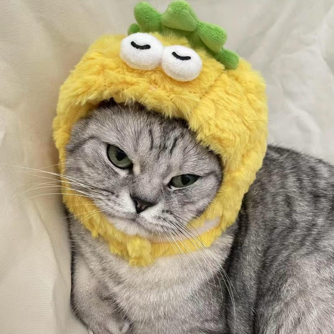 饭