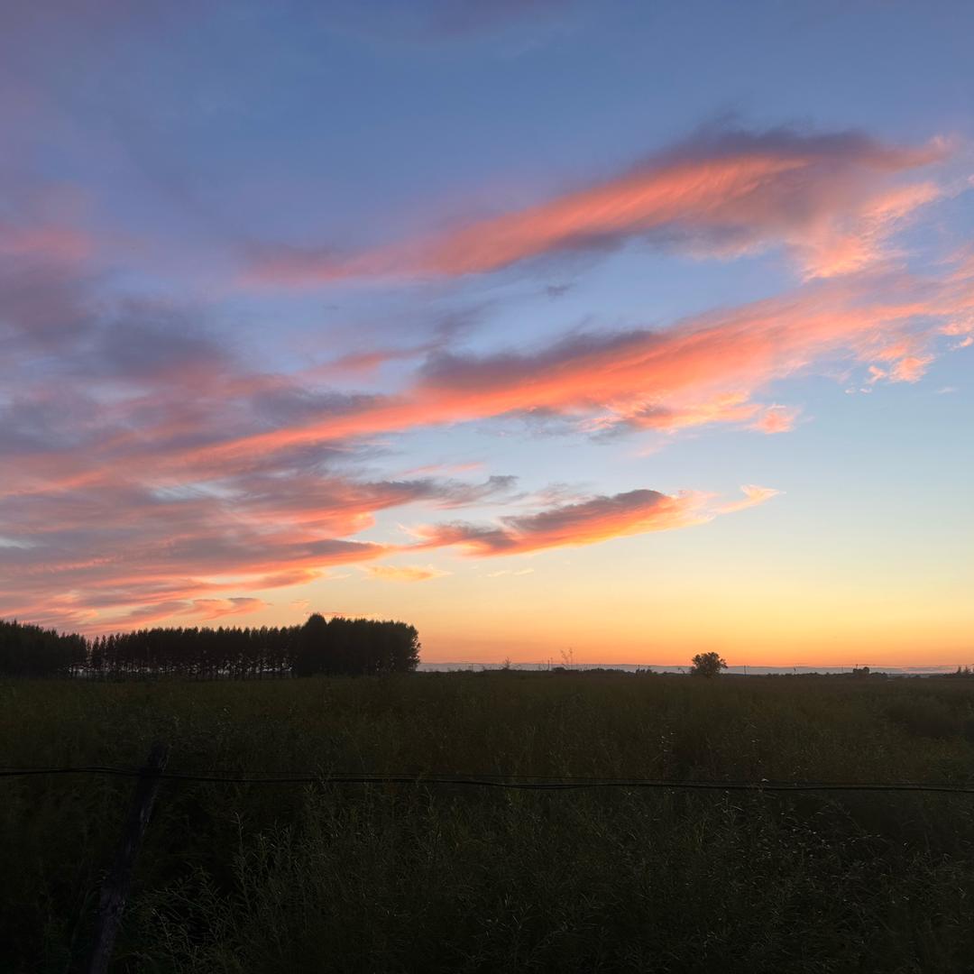 刘掌柜东北铁锅炖竹溪店红光市场