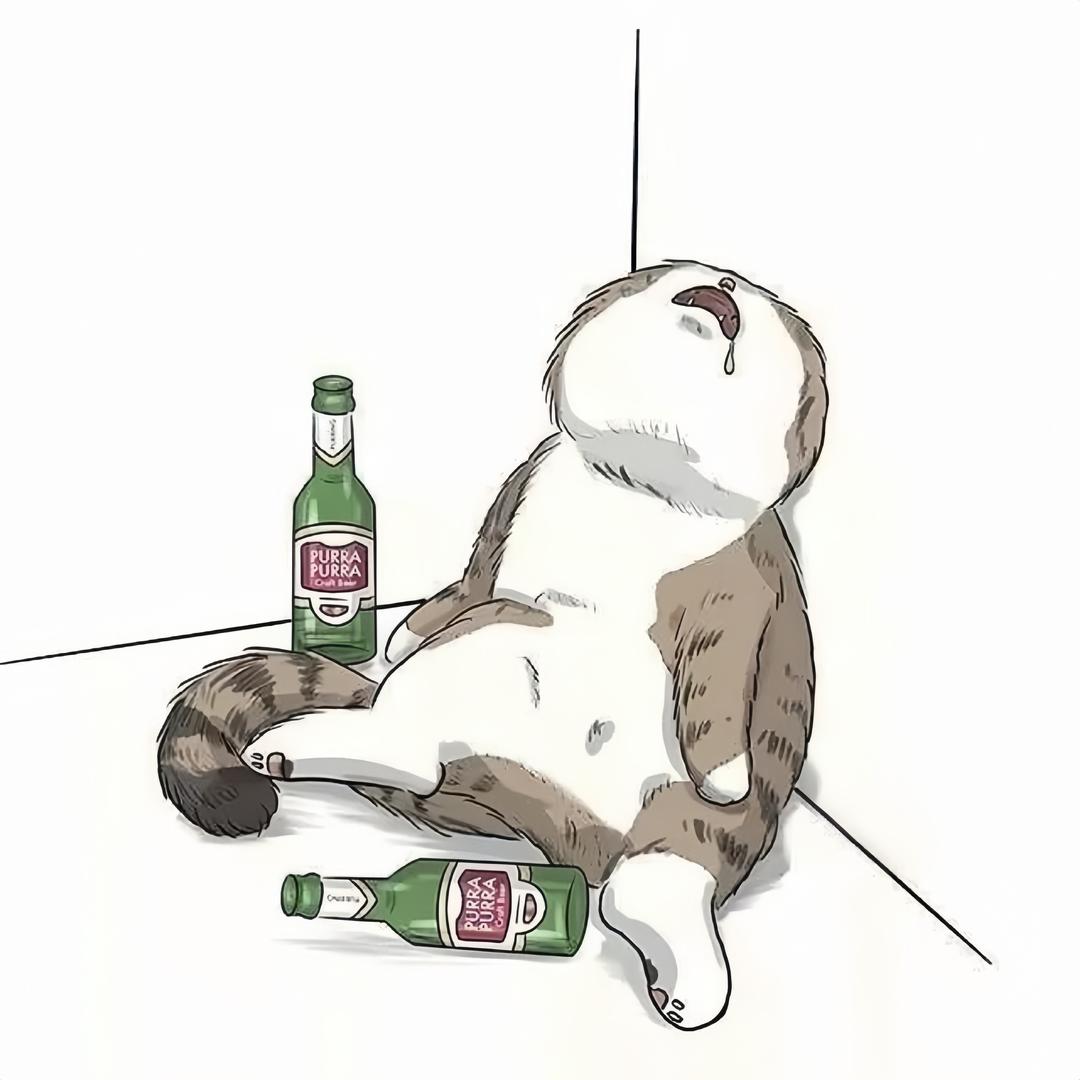瑾年.