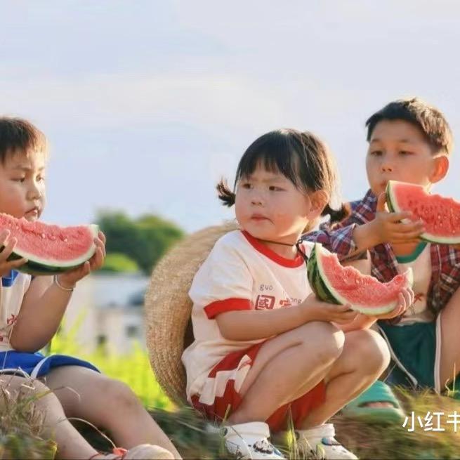 美食天天见