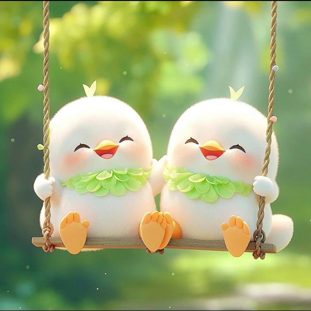 小君宝