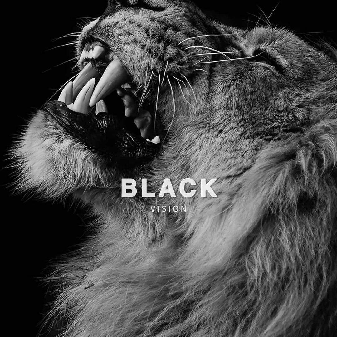 ོཽ             二蛋༉