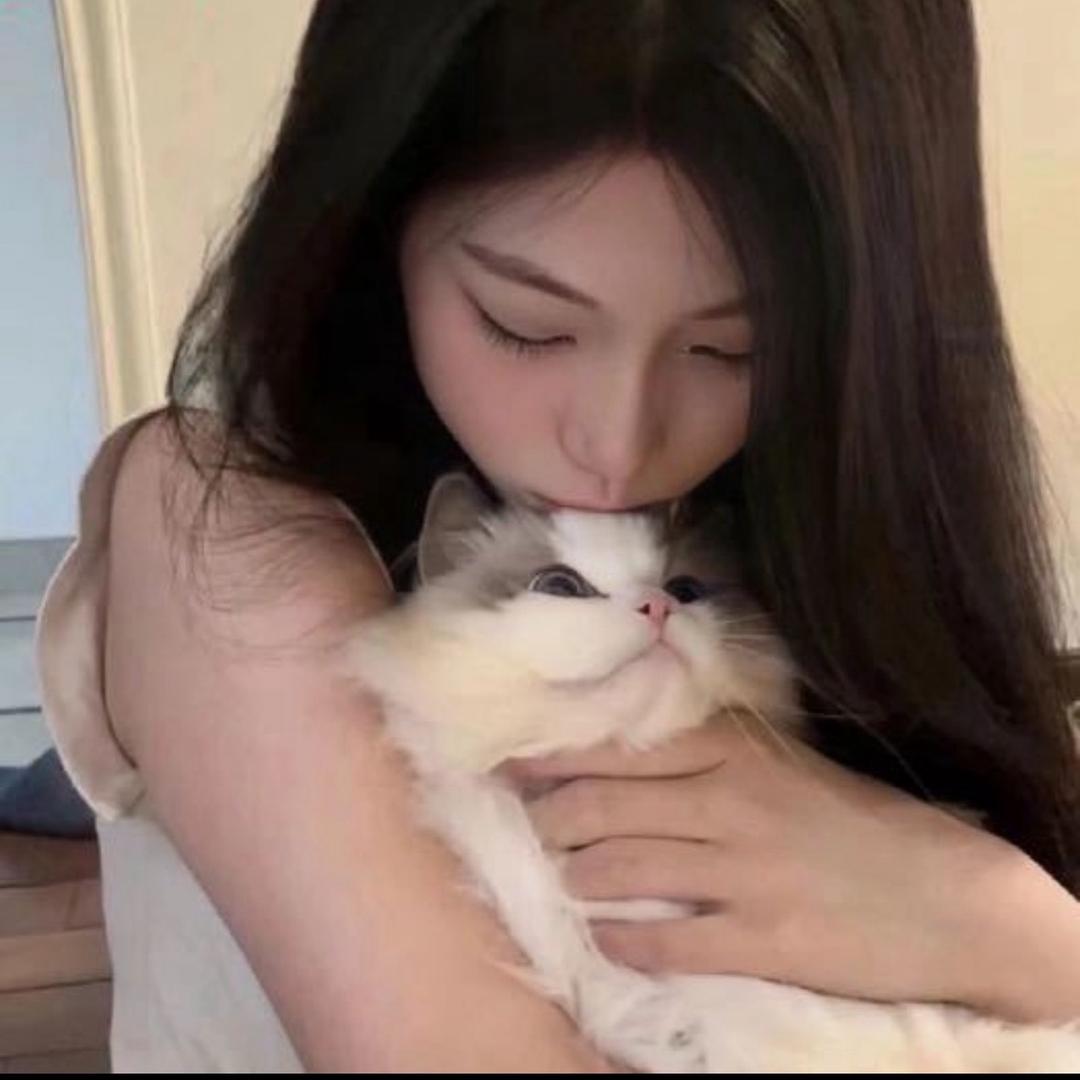 不吃葡萄t