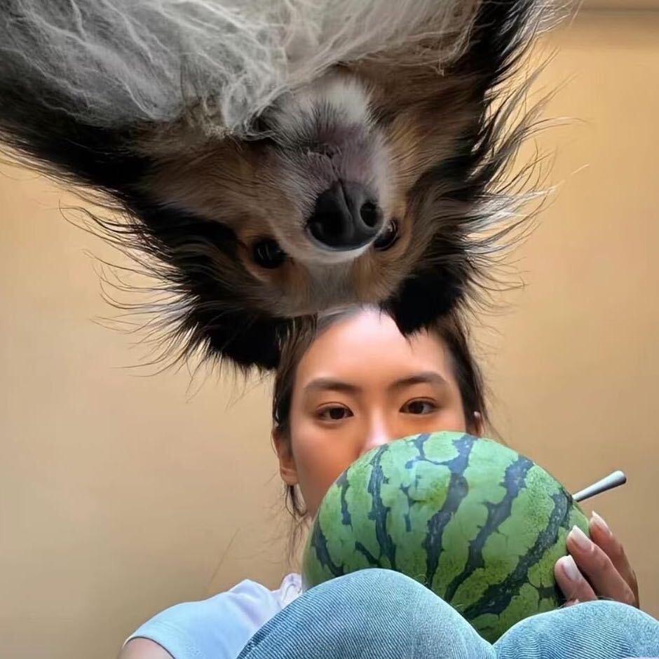 39👜（同款👀主页🏠）