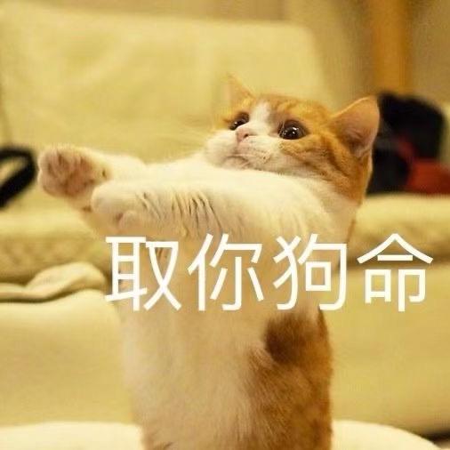 蜜桃汽水不加冰