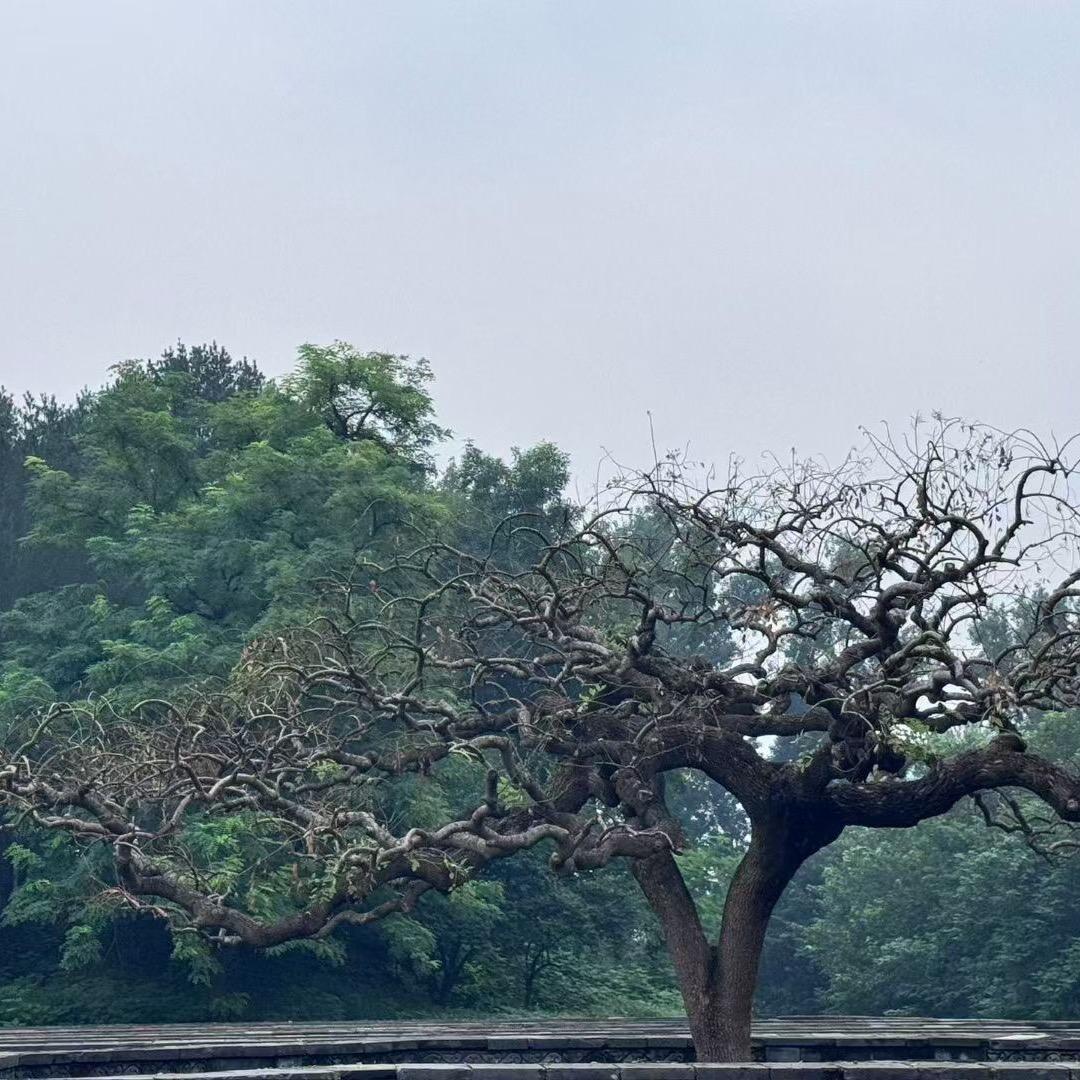 晨阳人生辉煌