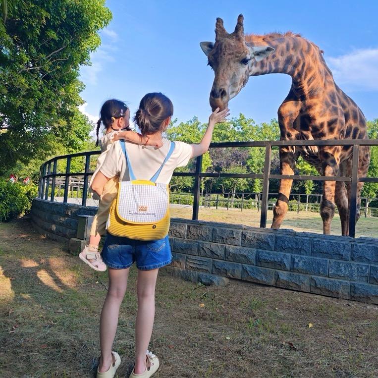 👧🏻❤️可可爱爱