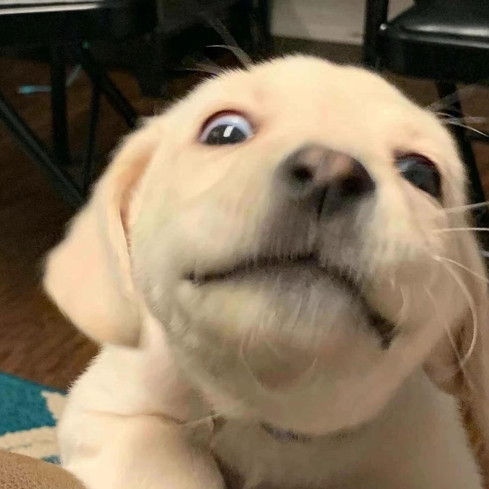 万万