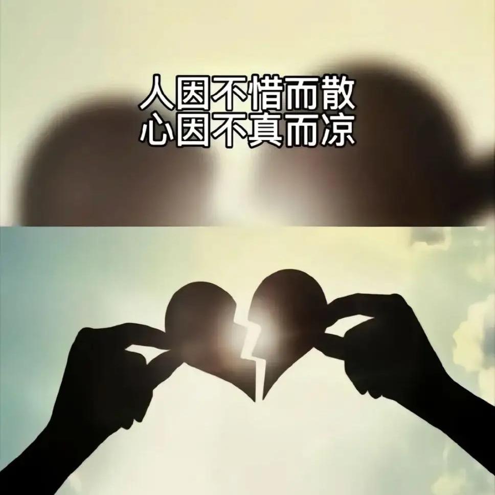 肉山鸡的肖先森🕷️