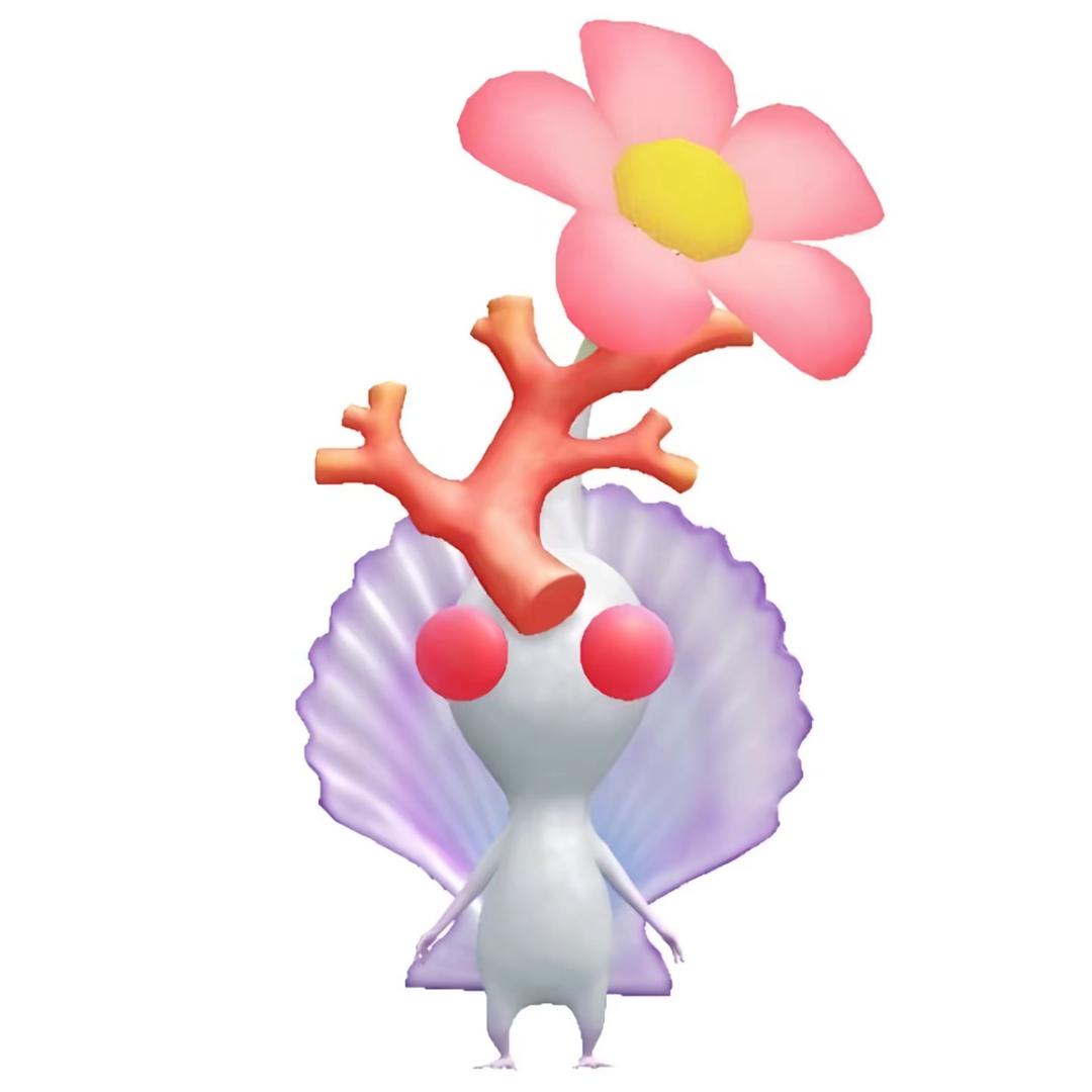 。。。。。。。