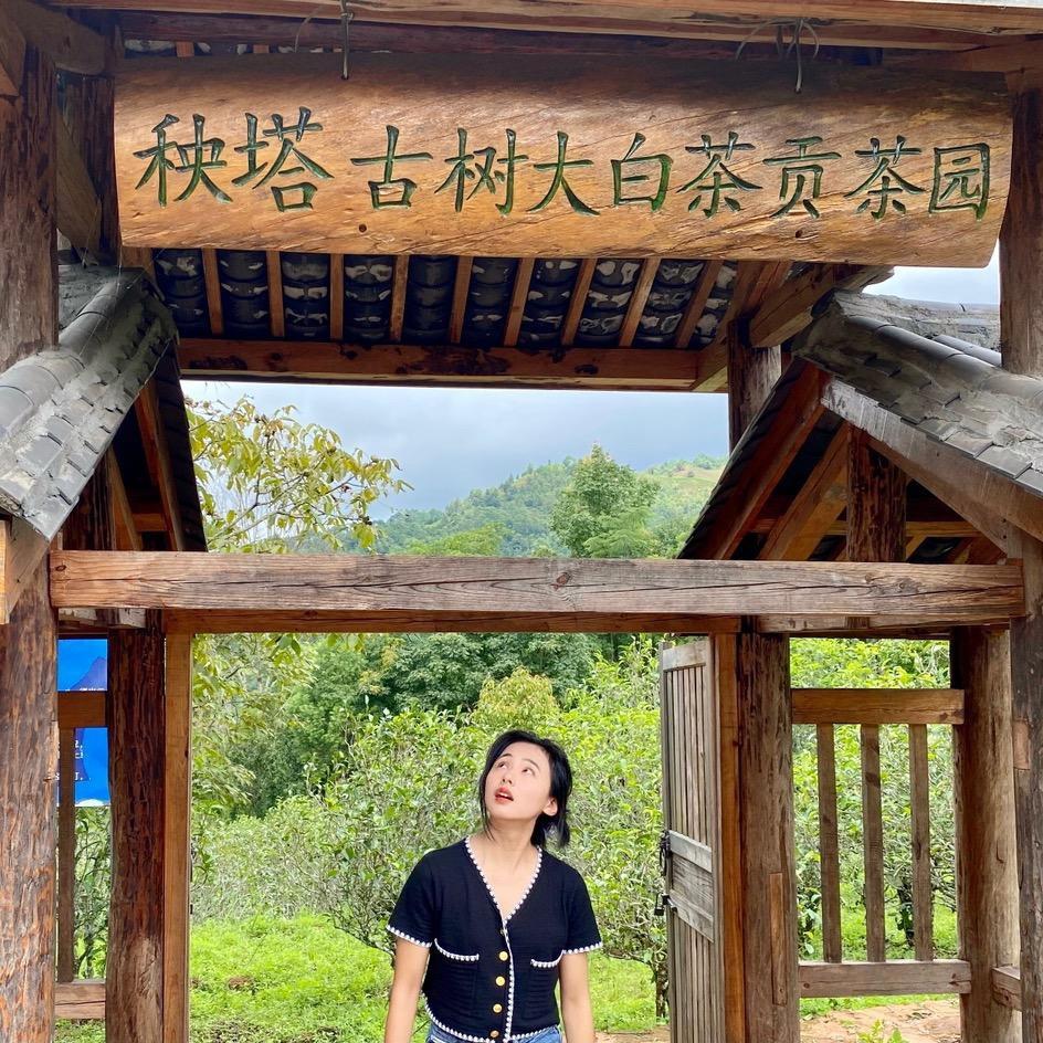 文记德茶叶