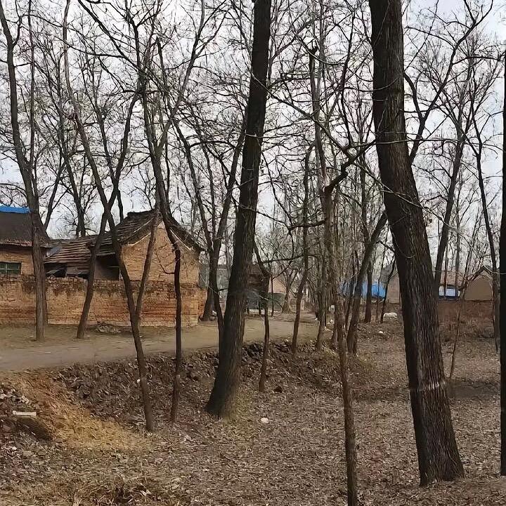 汉龙古玉