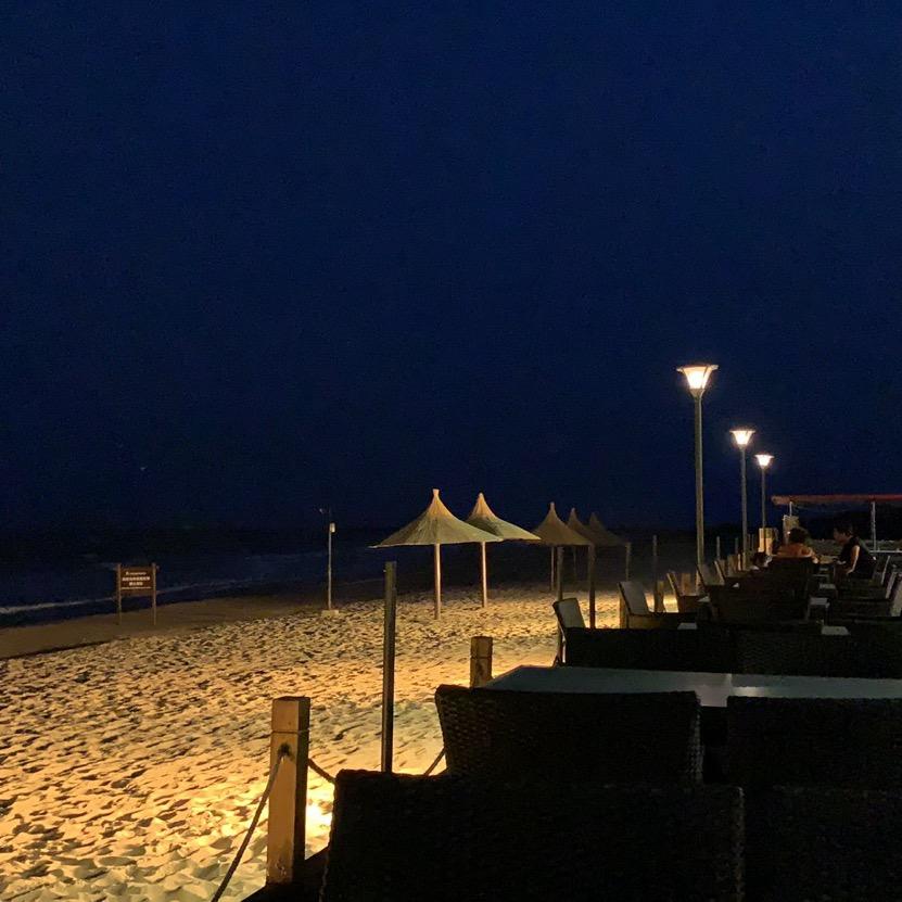 夜阑静有谁共鸣