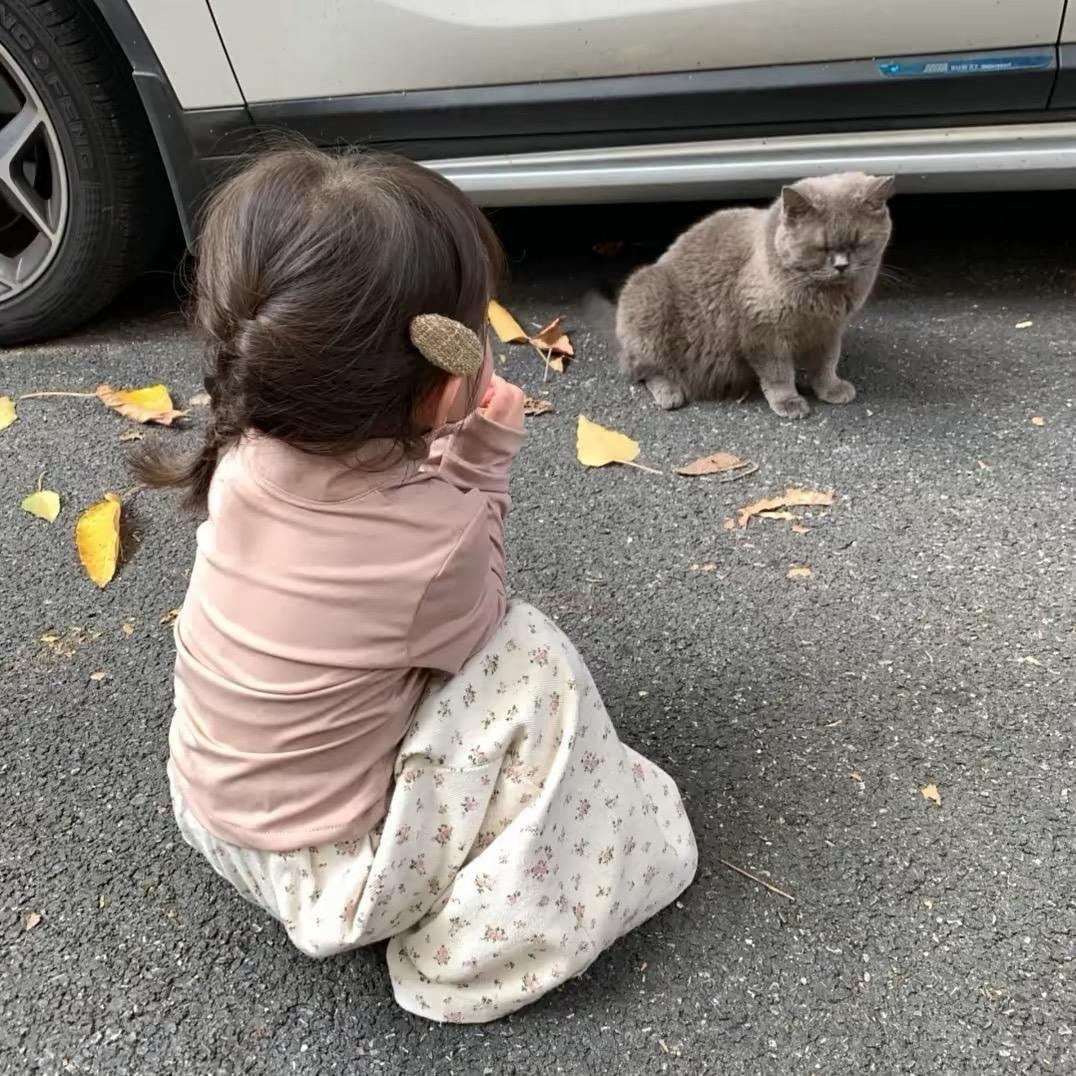 ㅤㅤ土豆你个西红柿