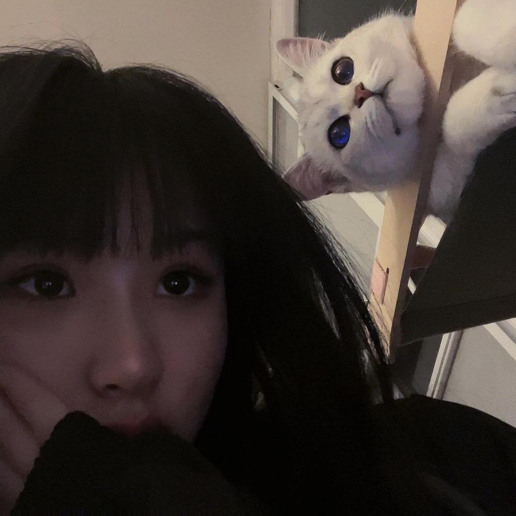 小羊肖恩