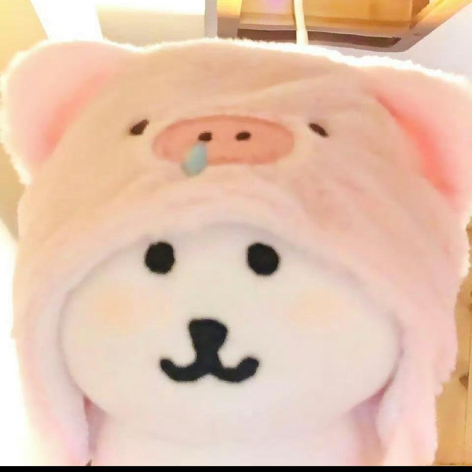 沈知圆
