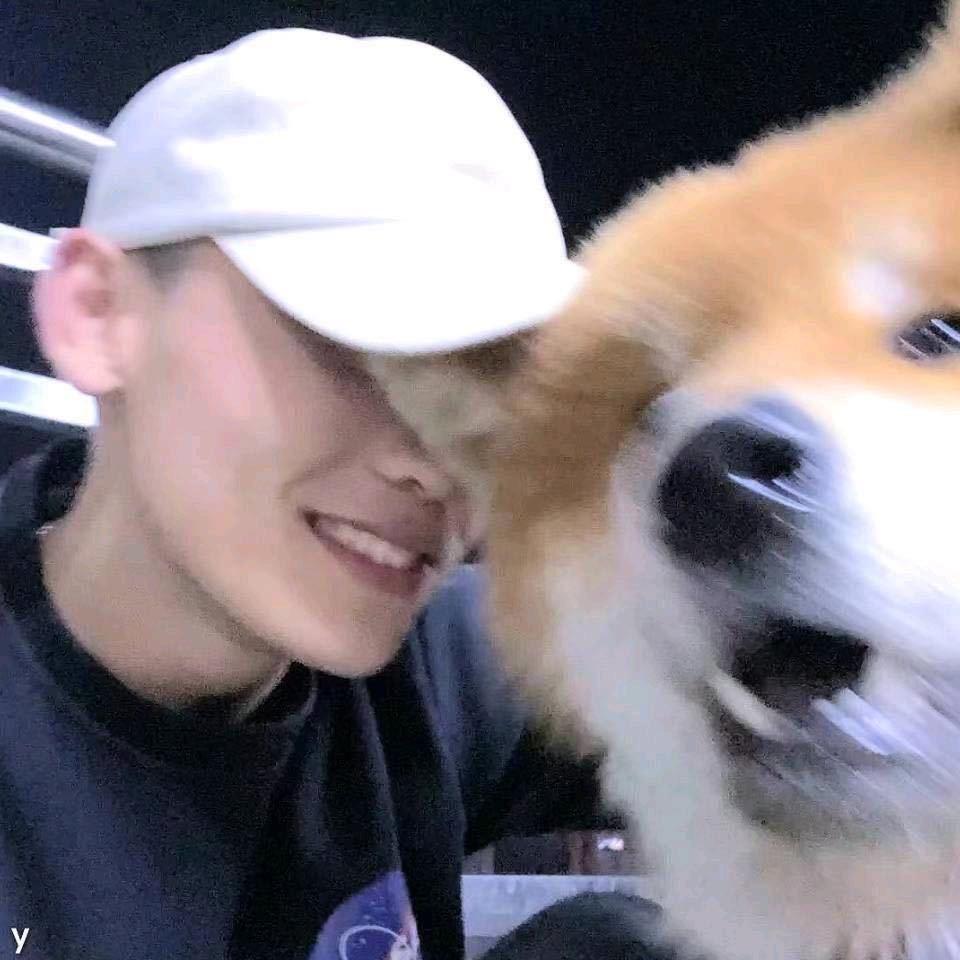 忧郁的小鱼儿🐠