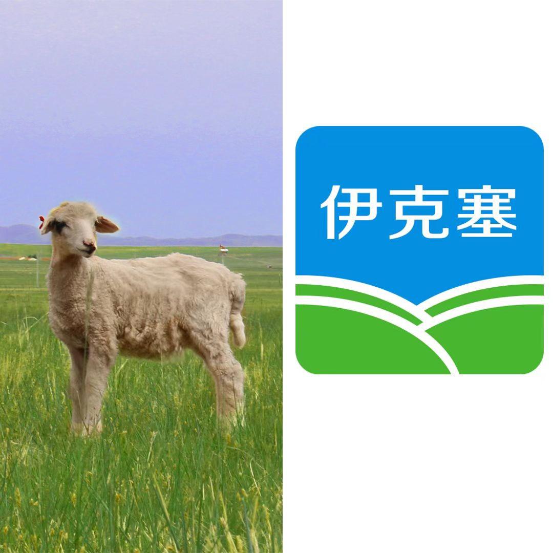 科右中旗伊克塞兽药店