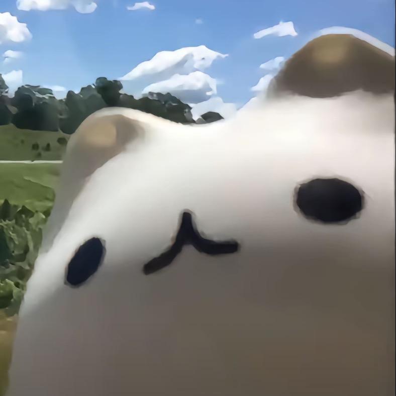 小猫骑老奶奶过马路