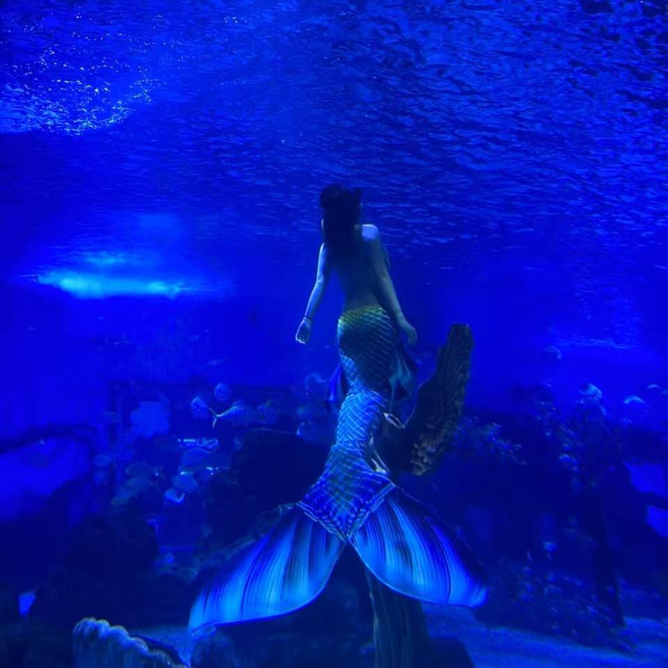 毛毛好物(橱窗有好物)