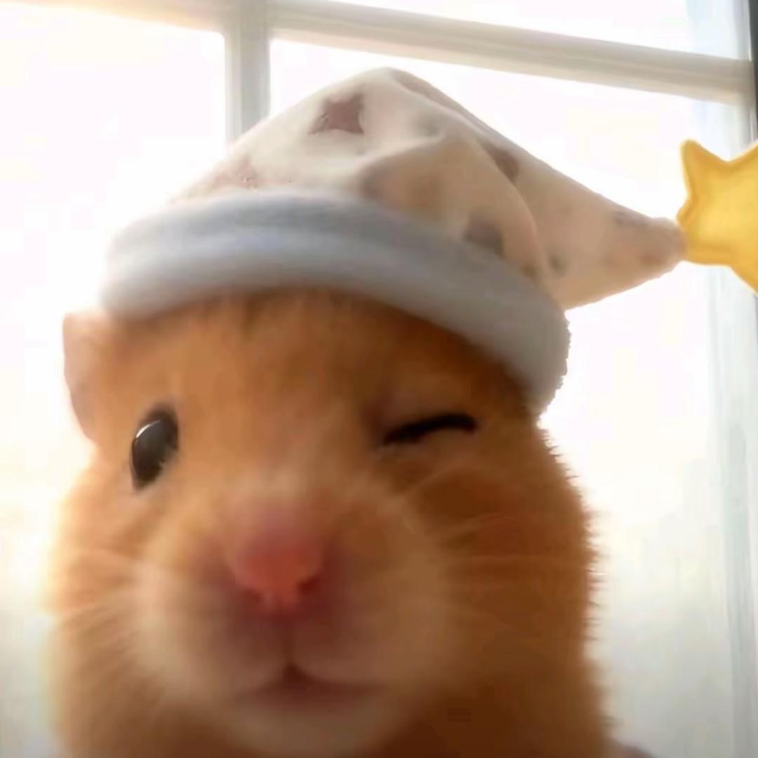 咪咪