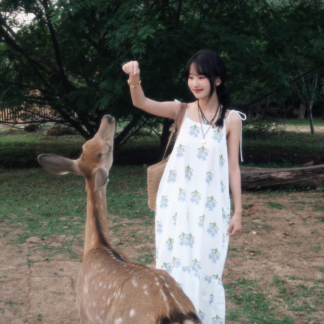 桃绿绿