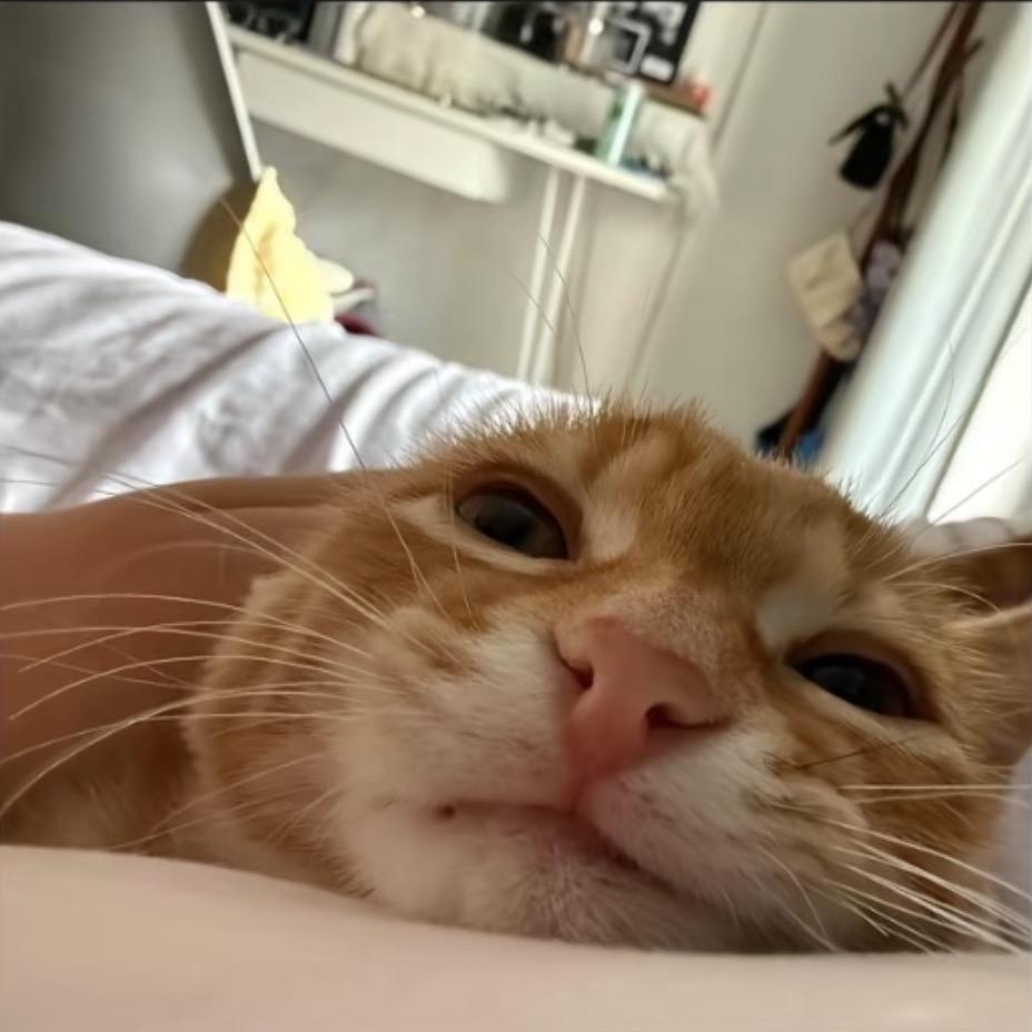 小呈