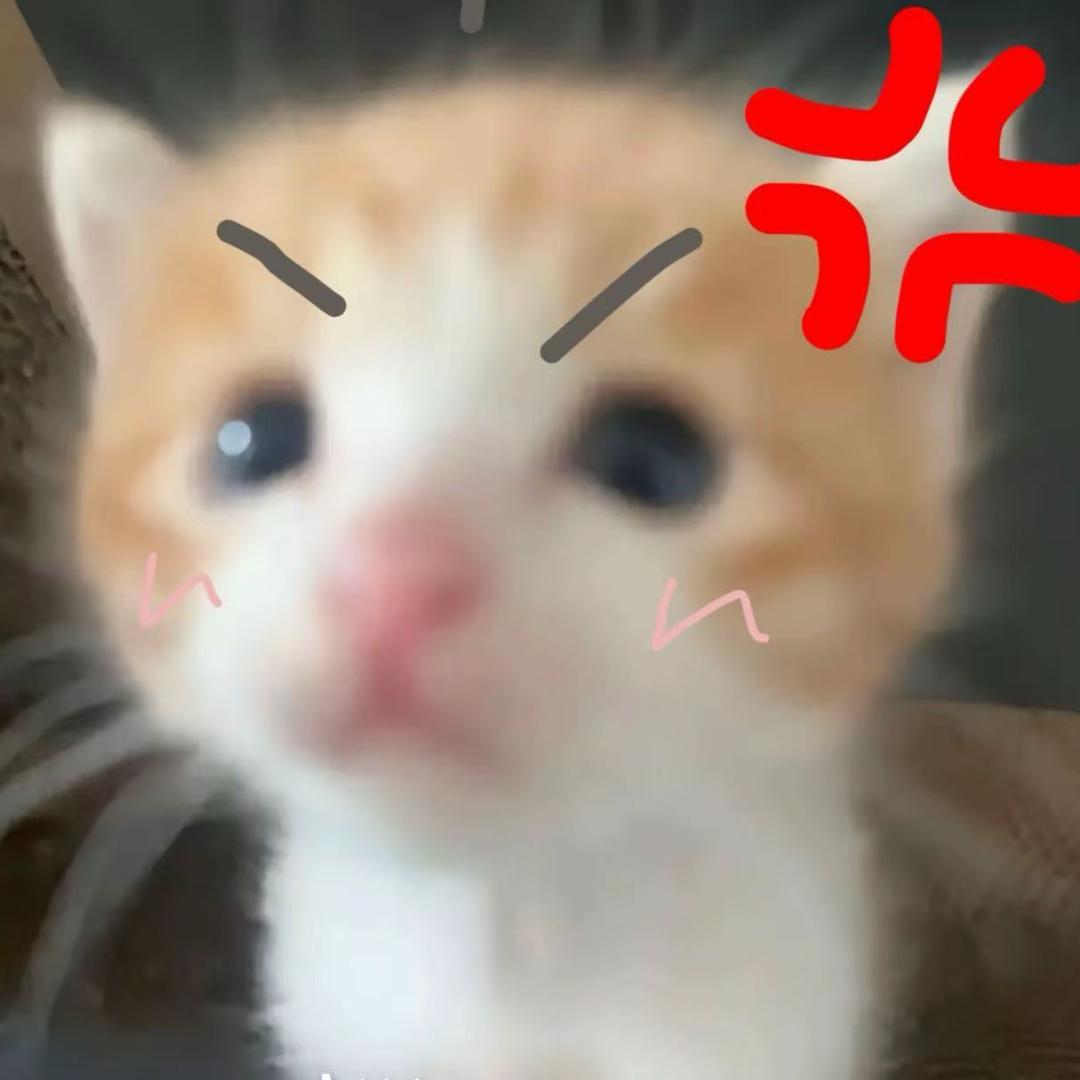 小恩EN.
