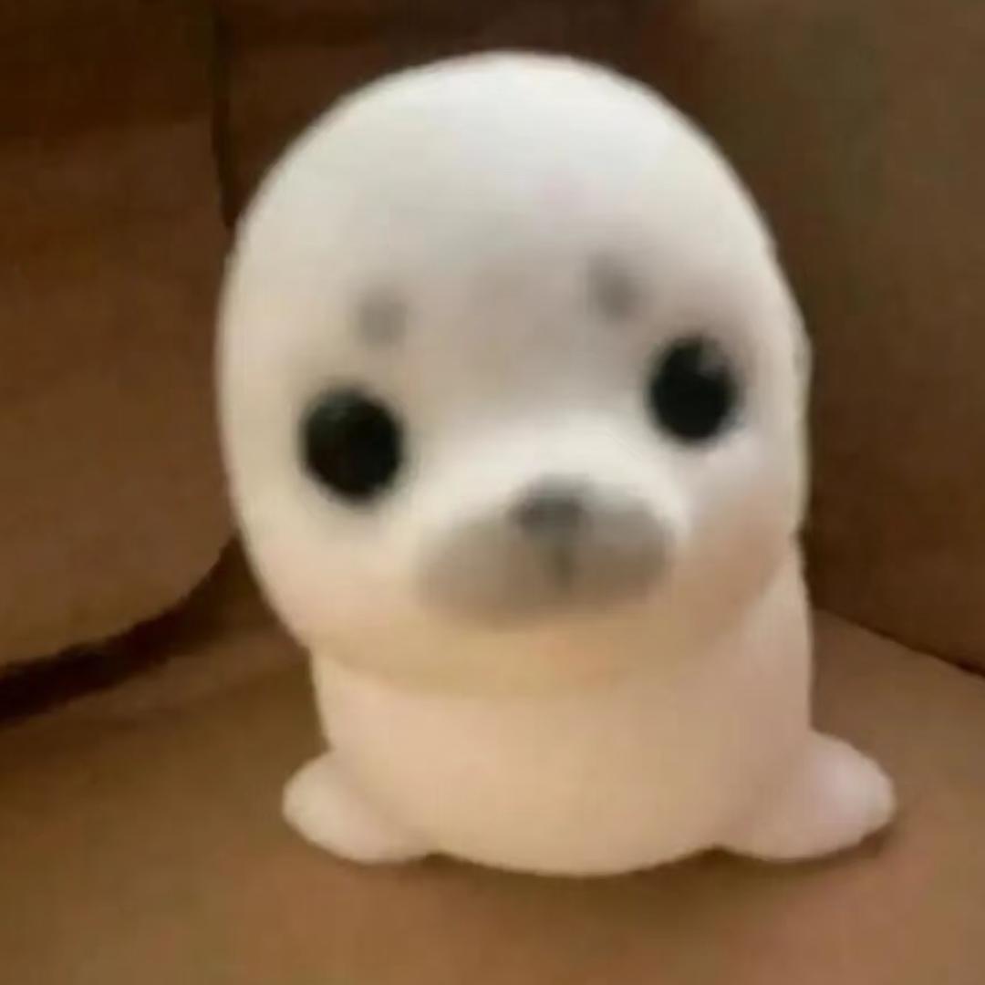 小盒ᐡ•͈ ·̭ •͈ᐡ