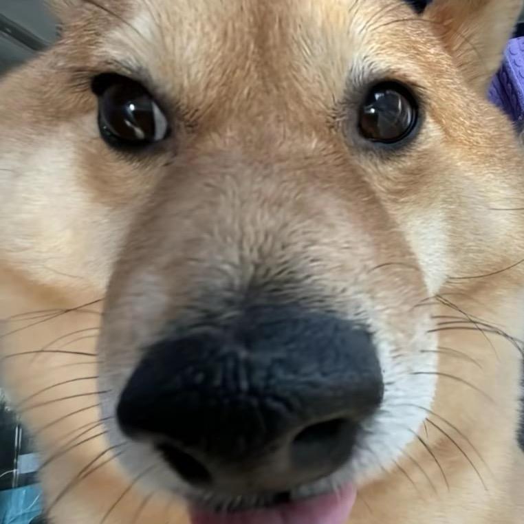 陈大壮呀