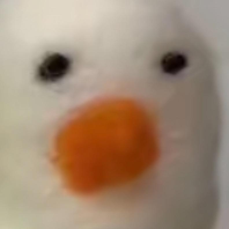 杜兰特的心@抖音