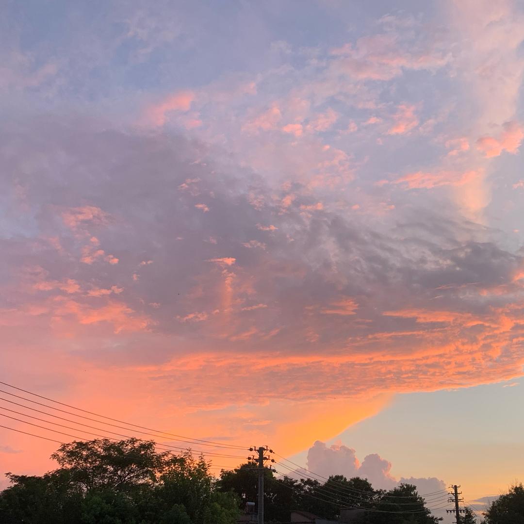 离曦