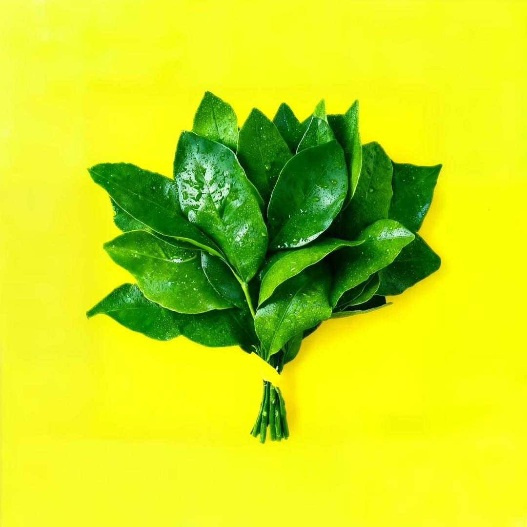 苏州小阳房☀️☀️☀️