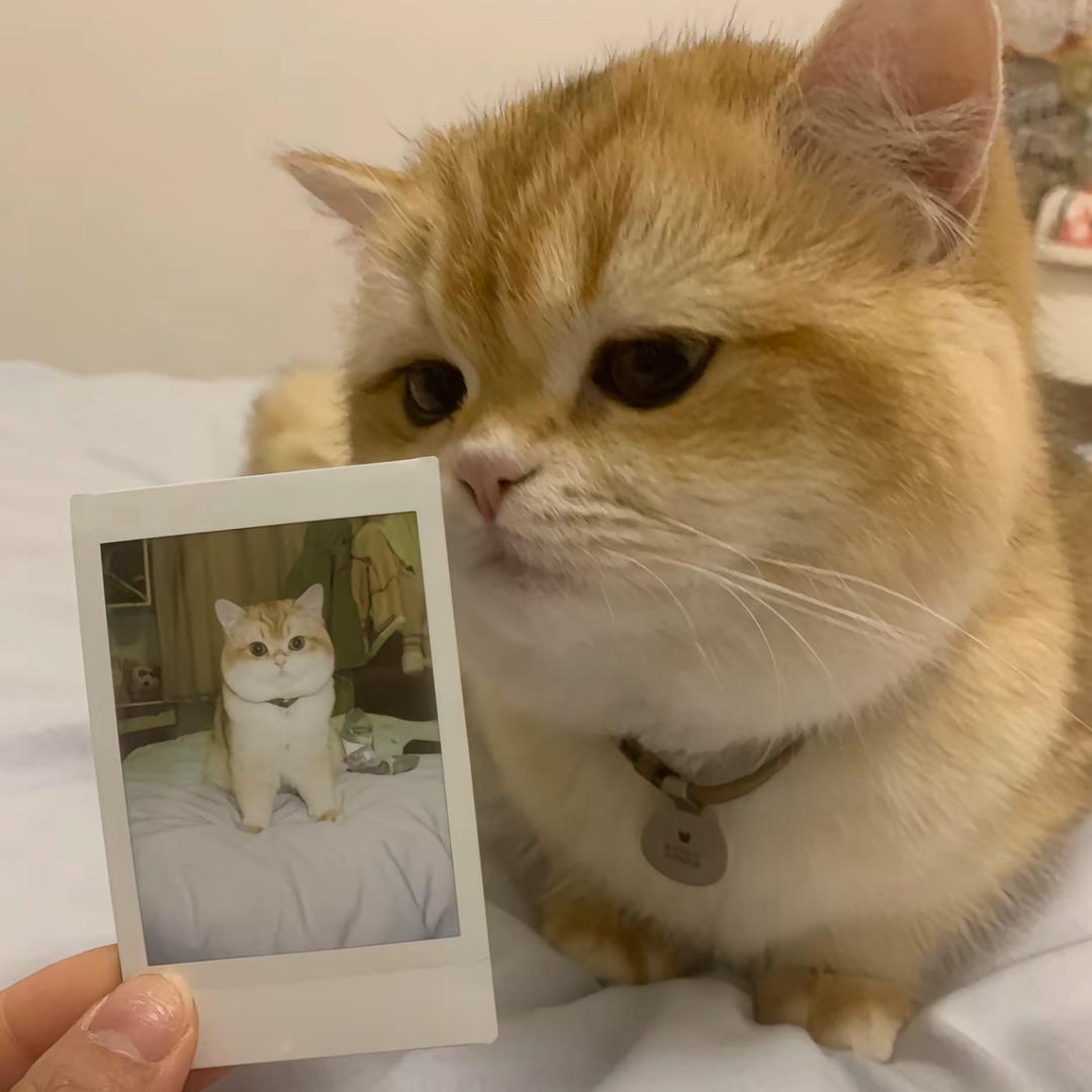 什么鱼