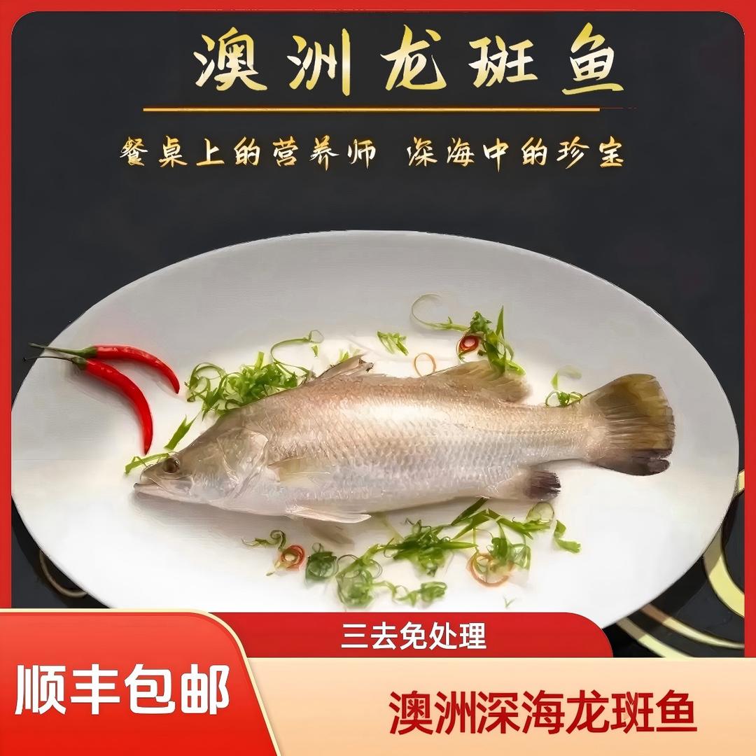 珠海斑基地水产