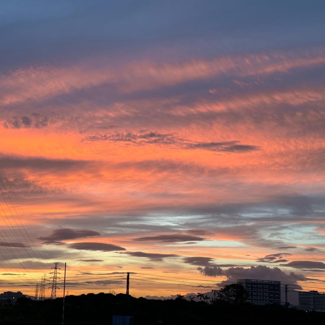 温柔至于盛夏