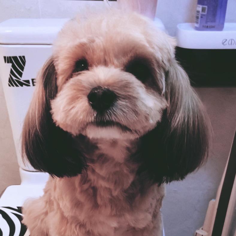 媛媛呀