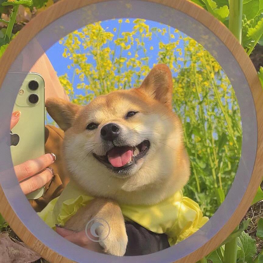 小芊芊