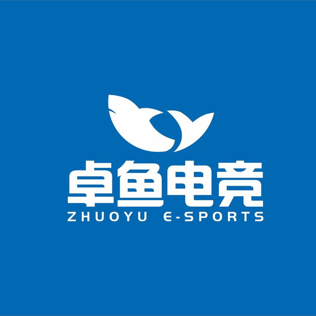 卓鱼电竞（武汉范湖万达店）