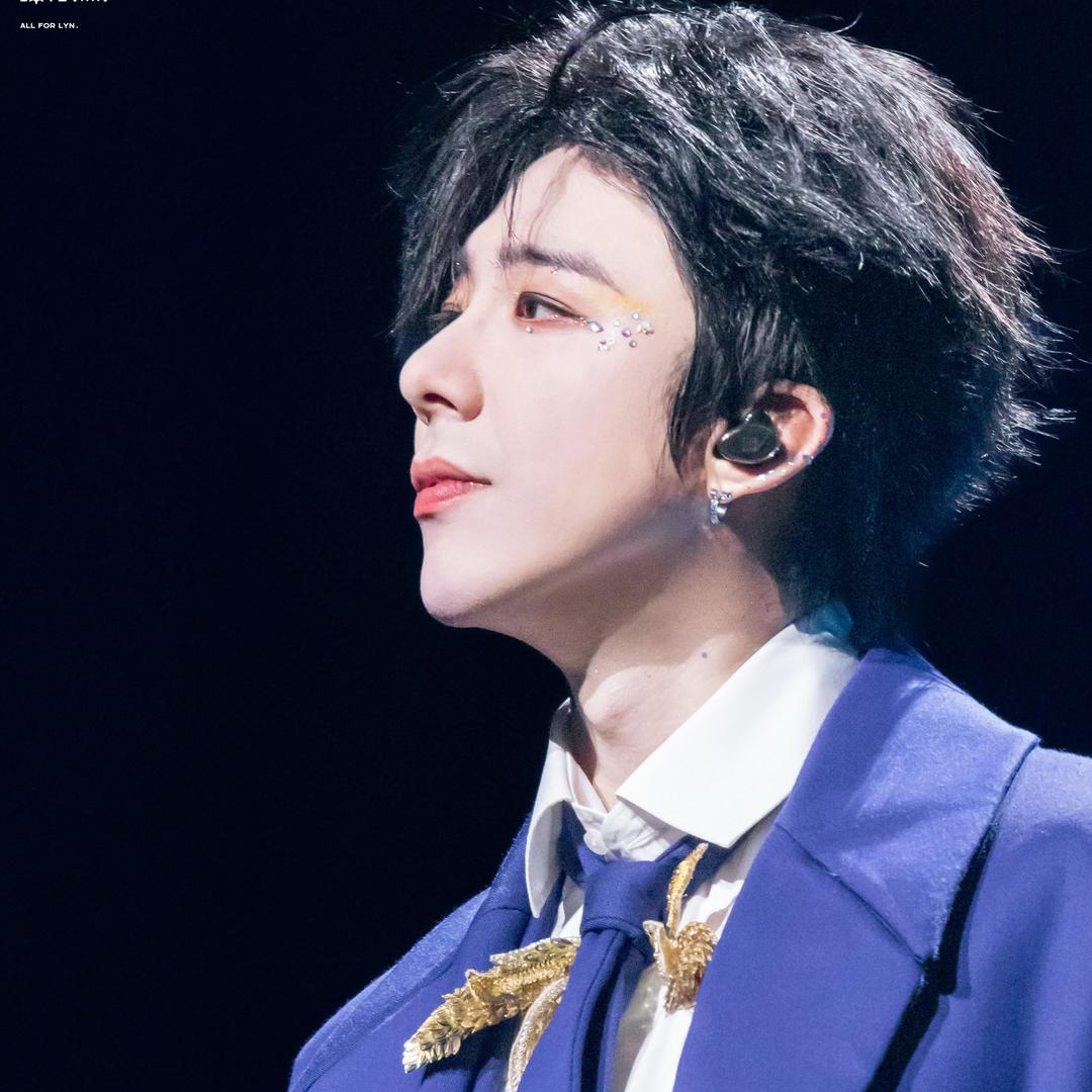 LYN_百合花 （🈲连赞 ）