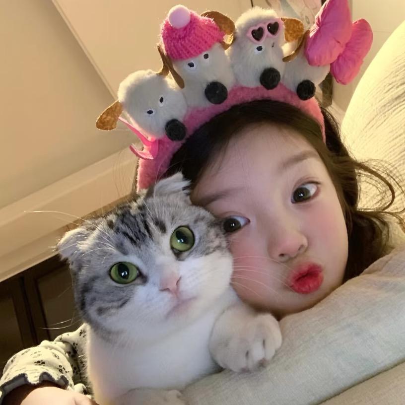睡眠羊🐑.