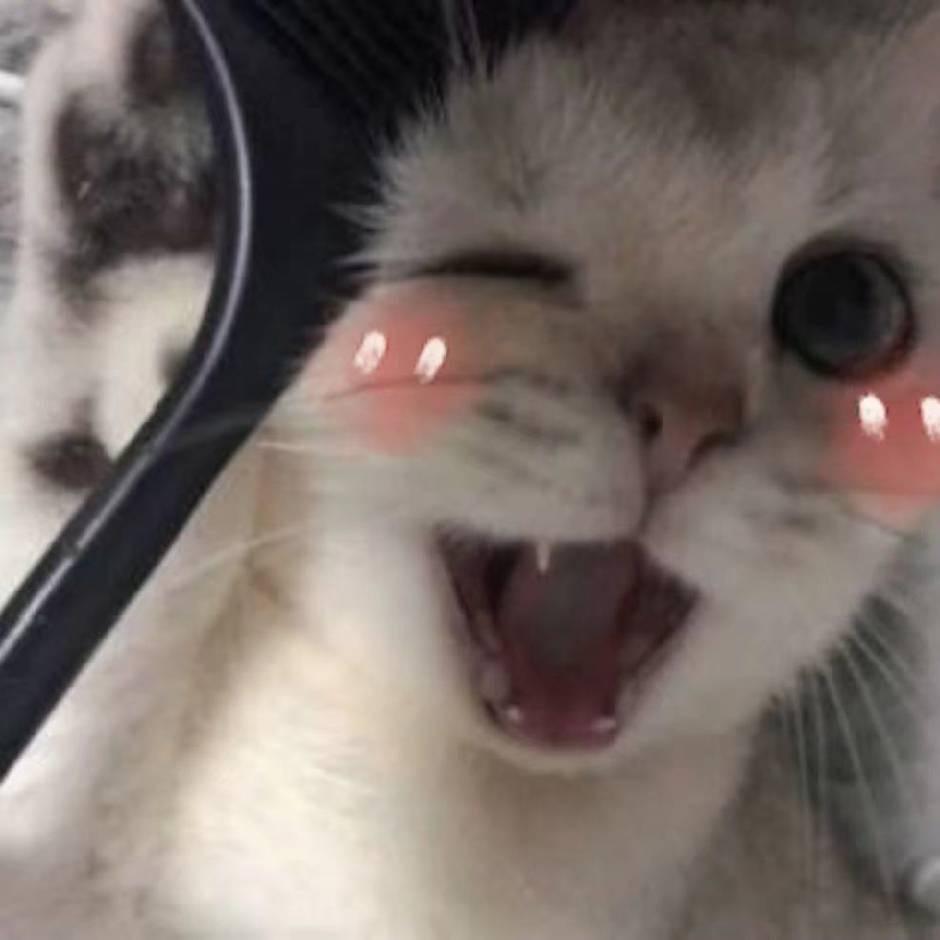 总二