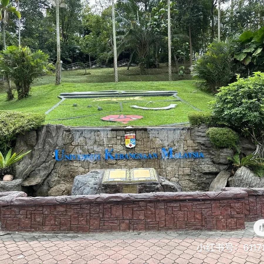 山东希岸升学