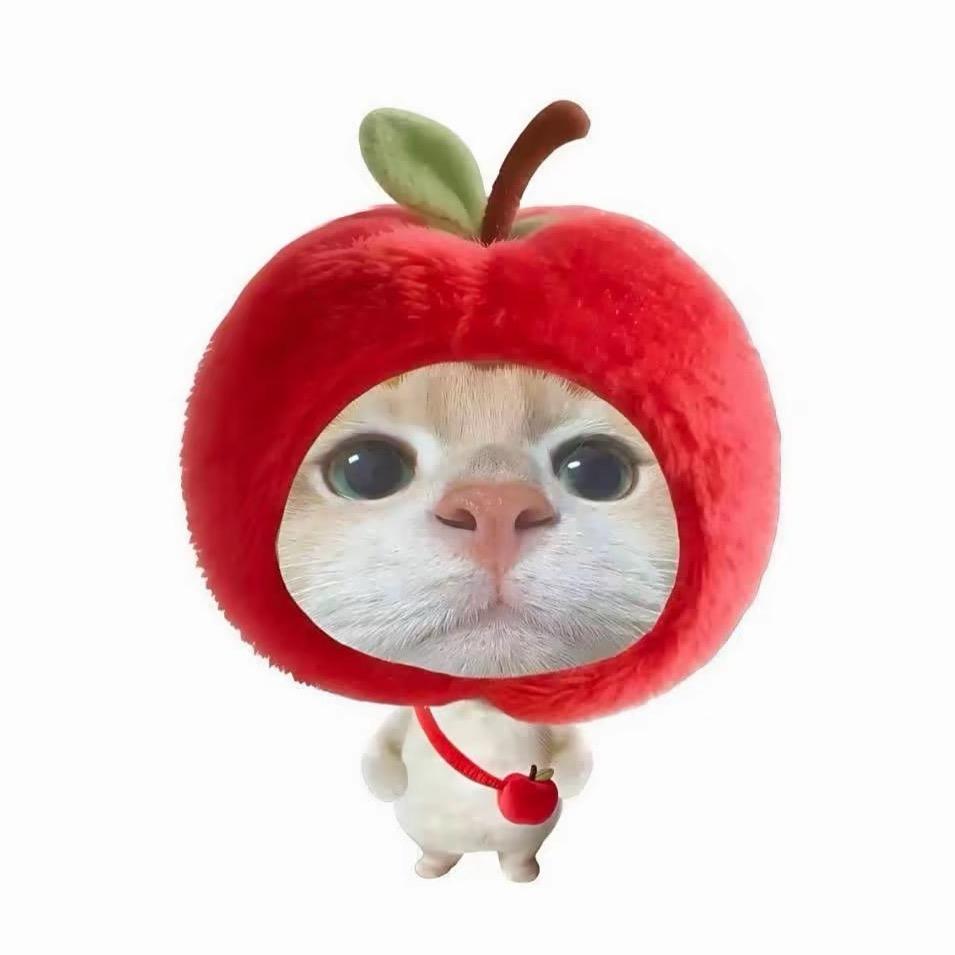 读