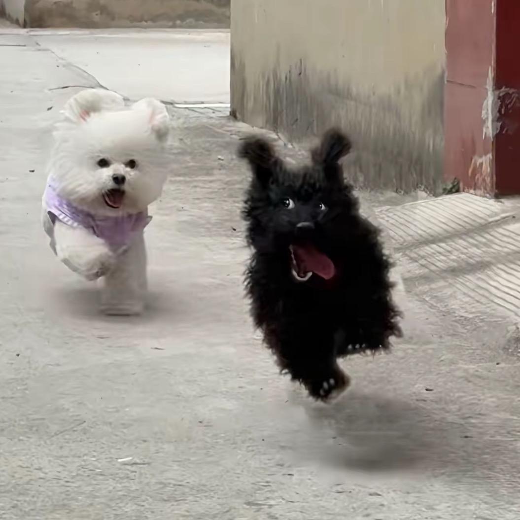 公主的朋友圈💗💗