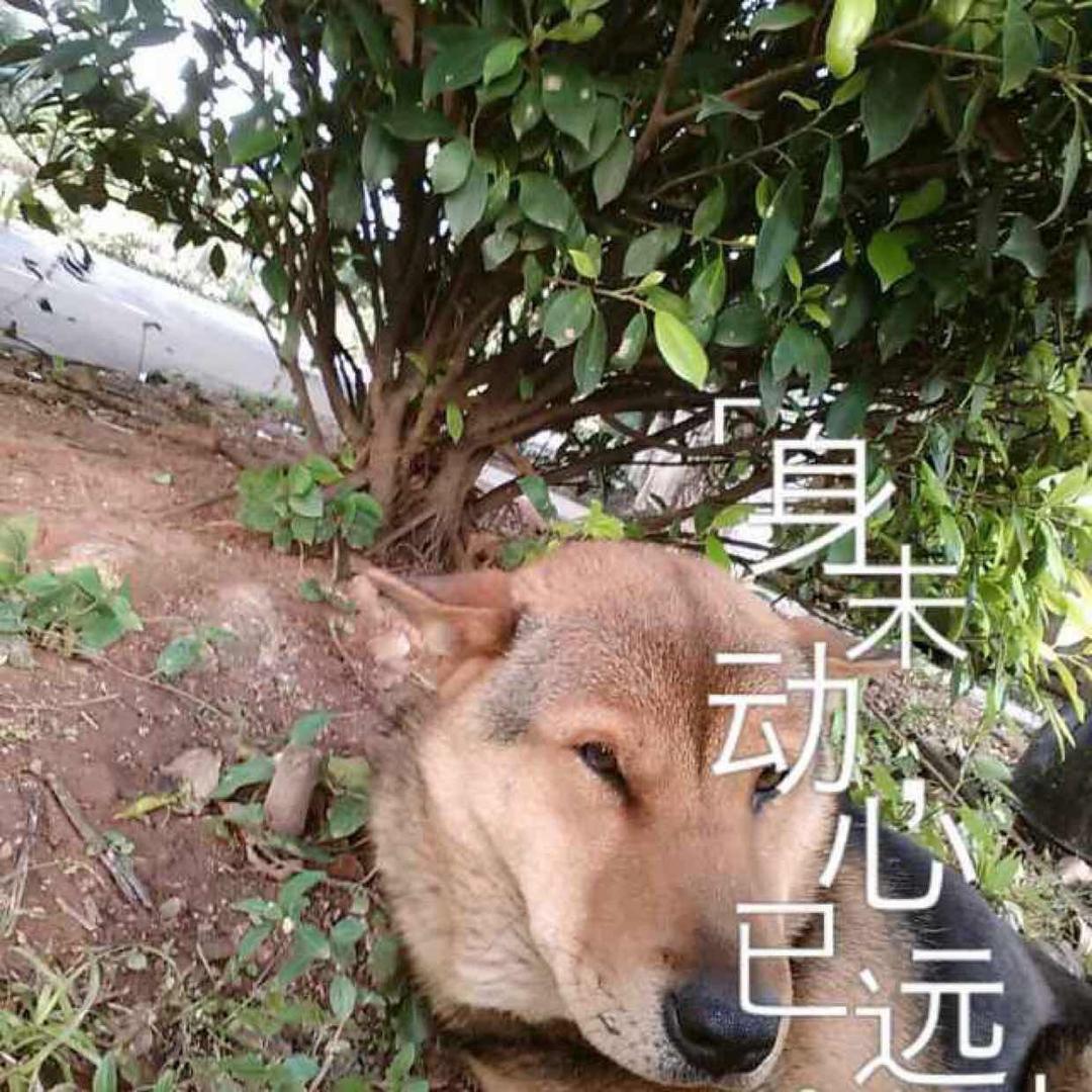 老表