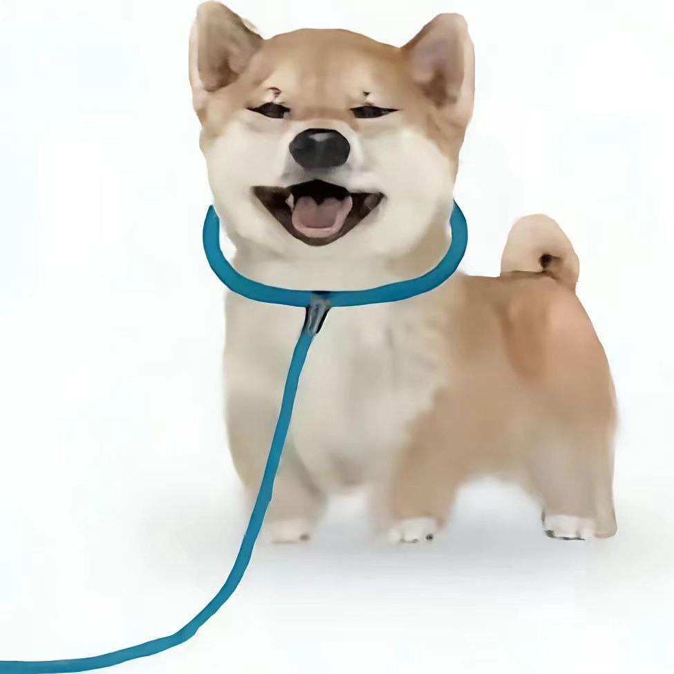 H.H