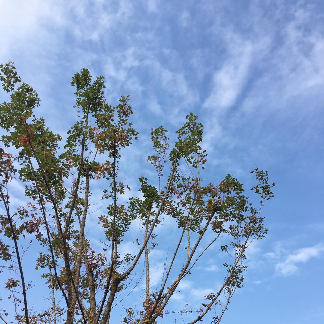 활식방대학🚤⛹🏼‍♂️