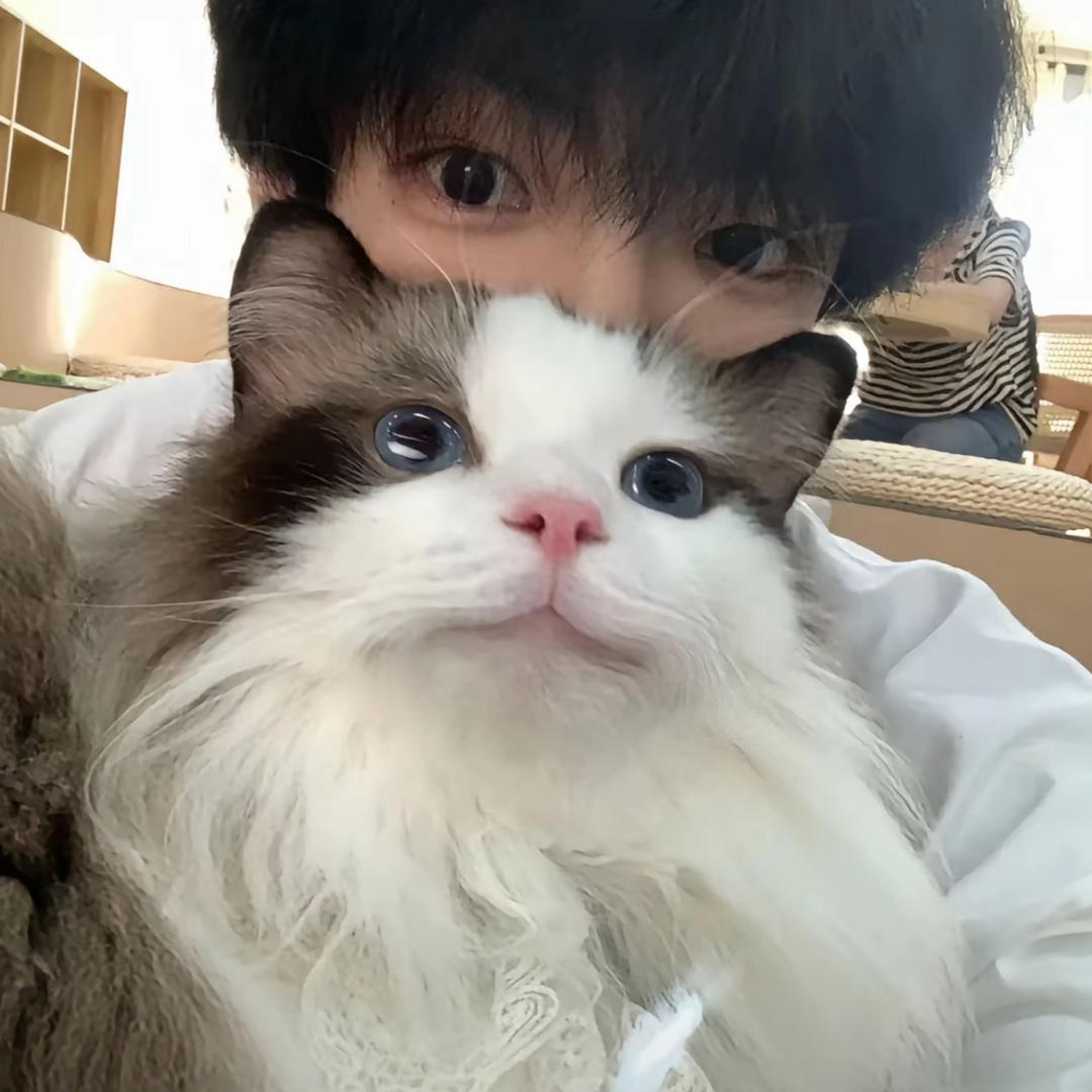 凡言